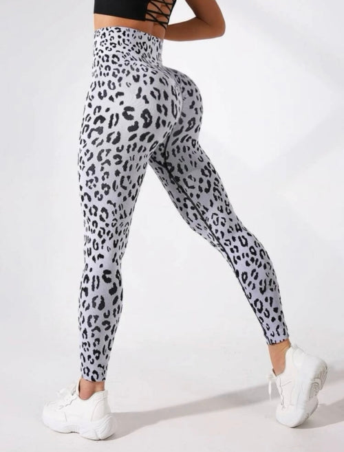 Colanti modelatori Grey Panter