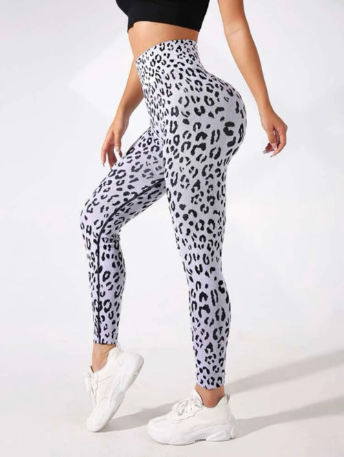 Colanti modelatori Grey Panter