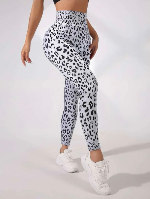 Colanti modelatori Grey Panter